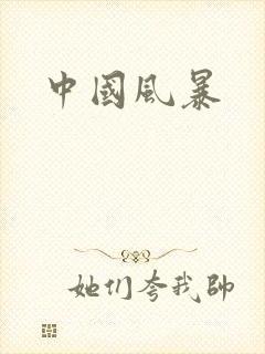 中国风暴