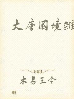 大唐国境杂货店