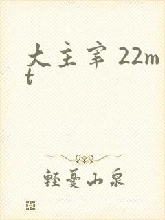 大主宰 22mt
