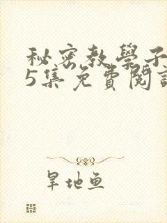 秘密教学子豪65集免费阅读