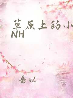 草原上的小公主NH