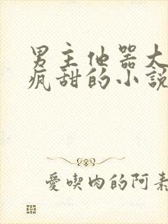 男主他器大活好疯甜的小说