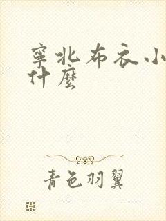 宁北布衣小说叫什么