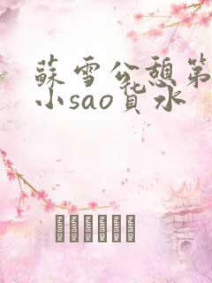 苏雪公憩第一章小sao货水