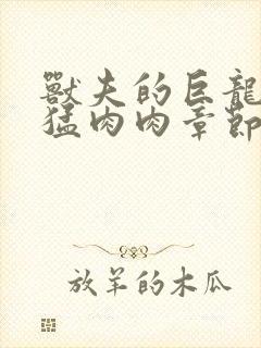 兽夫的巨龙太凶猛肉肉章节