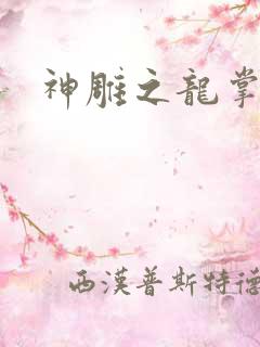 神雕之龙掌门