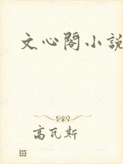 文心阁小说
