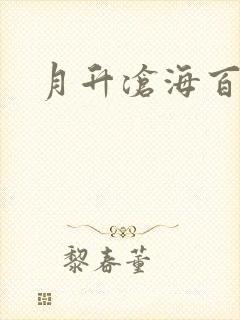 月升沧海百度云