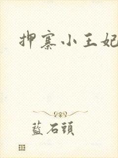 押寨小王妃