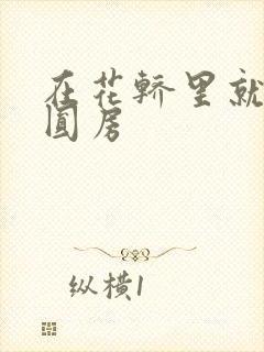 在花轿里就开始圆房