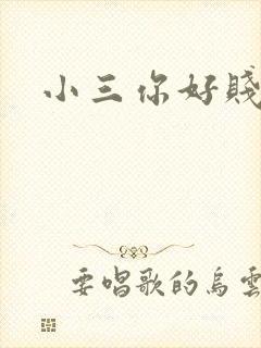 小三你好贱下载