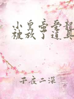 小皇帝受龙椅上被放了道具