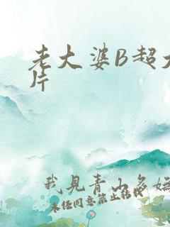 老大婆B超大图片