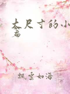 大尺寸的小说短篇