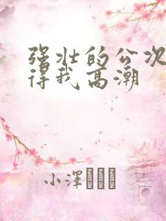 强壮的公次次弄得我高潮