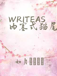 WRITEAS内塞式猫尾