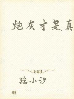 炮灰才是真绝色