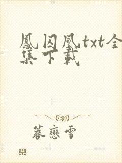 凤囚凰txt全集下载