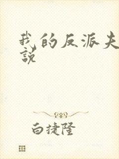 我的反派夫君小说