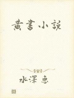 黄书小说