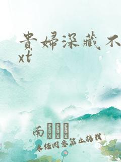 贵妇深藏不露txt