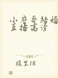 小么哥结婚视频直播高清