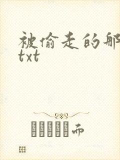 被偷走的那五年txt