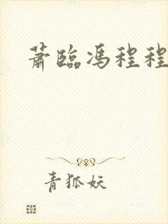 萧临冯程程小说