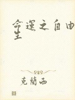 命运之自由的新生