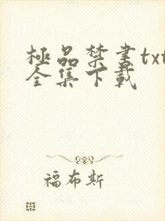 极品禁书txt全集下载