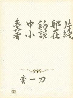 梦中的那片海原著小说在线阅读