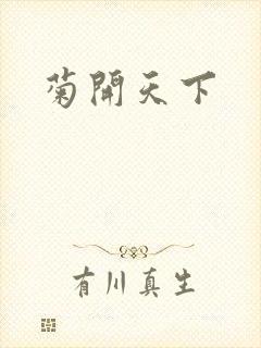 菊开天下