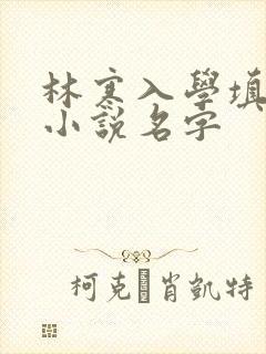 林寒入学填未婚小说名字