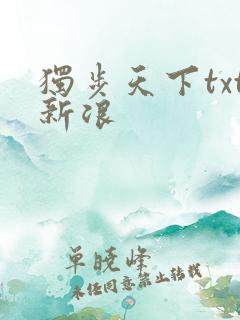 独步天下txt新浪