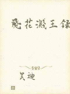 飞花溅玉录