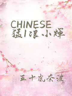 CHINESE猛1浪小辉