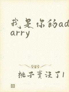 我是你的adcarry