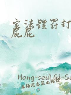 家法体罚打丫鬟屁屁