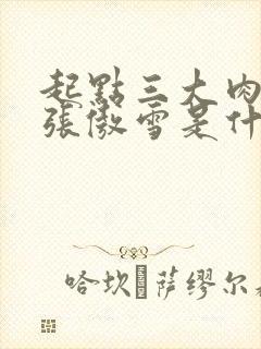 起点三大肉x器张傲雪是什么