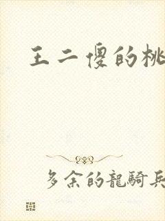 王二傻的桃花运