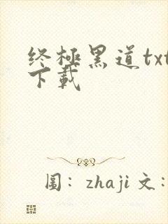 终极黑道txt下载