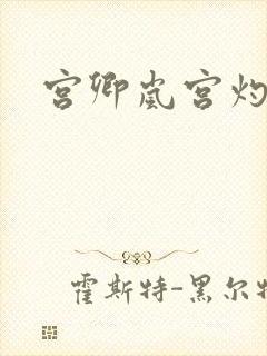 宫卿岚宫灼小说