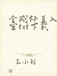 金刚杵直入莲花宫txt下载