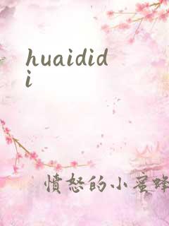 huaididi