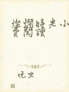 灿烂时光小说免费阅读