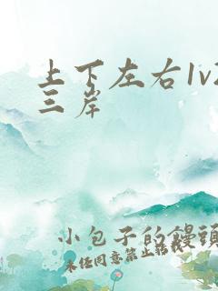 上下左右1v2三岸