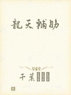 龙天辅助