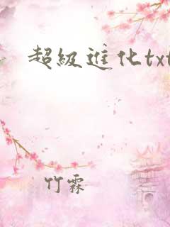 超级进化txt