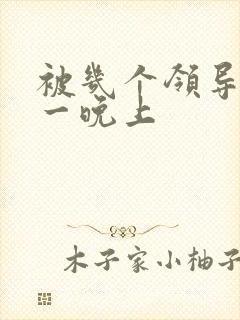 被几个领导玩弄一晚上