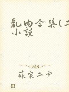 乱肉合集(二)小说